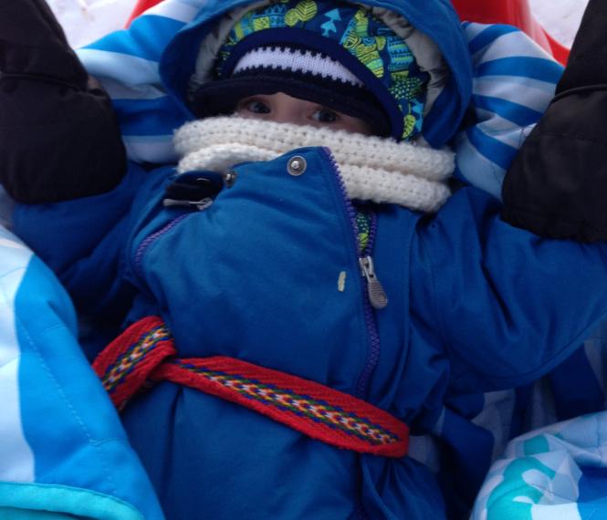 baby in sled
